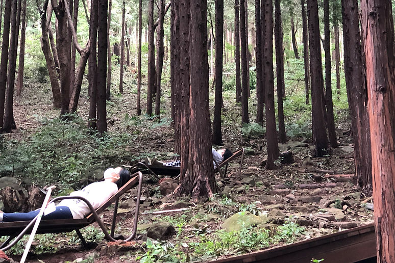 イ·ジェウン（Jeun-LEE）《植物になってみよう》-撮影：チョ·ヘス.jp